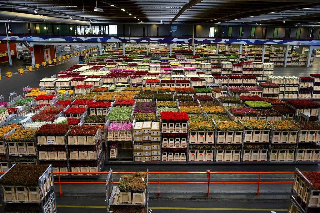 Warehouse team organizing inventory